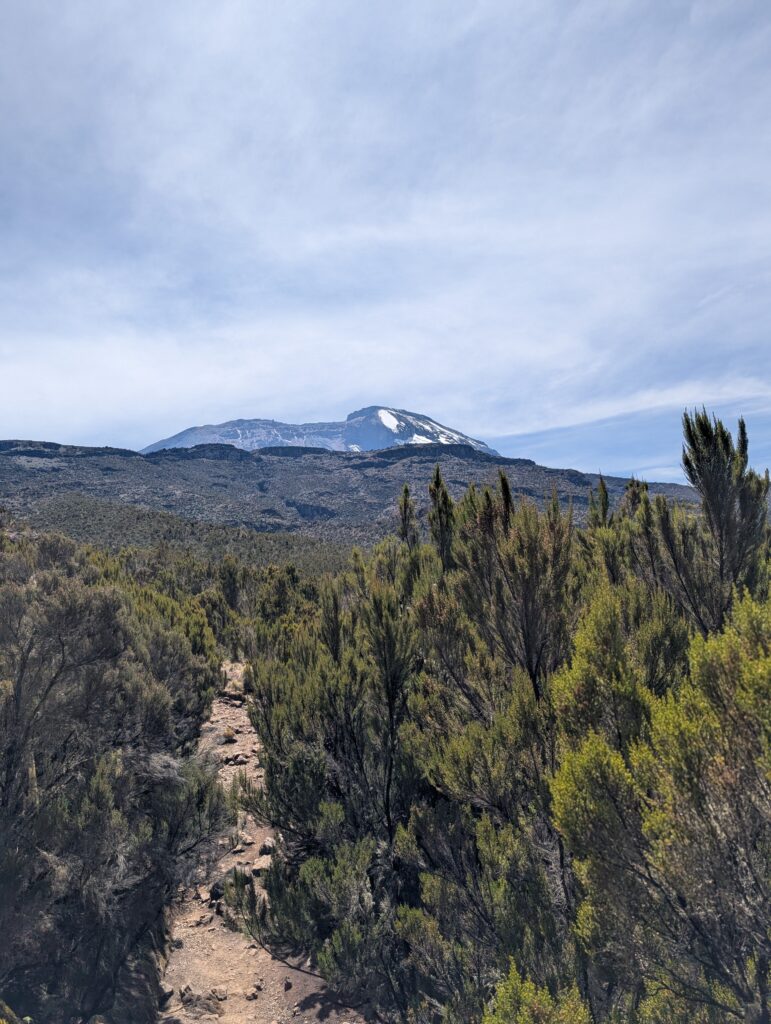 Kilimandżaro - droga